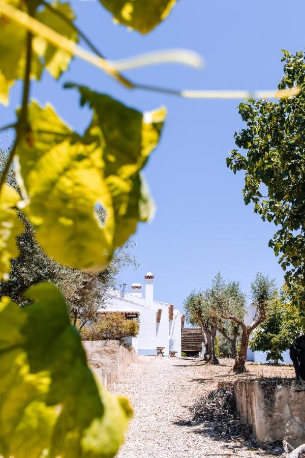 Monte Do Pomar Guest House Redondo Exterior photo